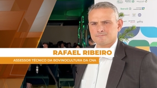 Rafael Ribeiro