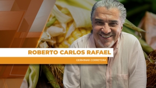 Roberto Carlos Rafael - Germinar Corretora
