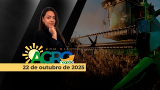 Bom Dia Agro - com Andressa Simão