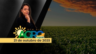 Bom Dia Agro - com Andressa Simão