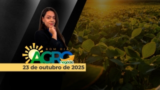 Bom Dia Agro - com Andressa Simão