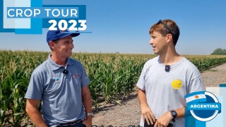 Tomás Quintana - Engenheiro Agrônomo da Stein