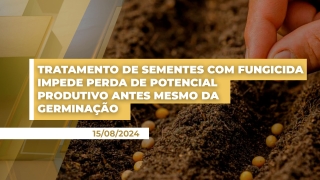 Diego Rorrato - Líder de Tratamento de Sementes da Corteva Agriscience