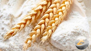 Luís Antônio Carniel - Engenheiro Agrônomo da Copercampos