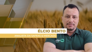 Élcio Bento - Analista da Safras & Mercado