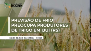 Juliano Lambrecht - Produtor Rural na Região de Ijuí/RS