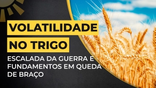 Élcio Bento - Analista da Safras & Mercado