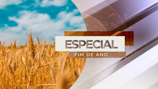 Élcio Bento - Analista da Safras & Mercado