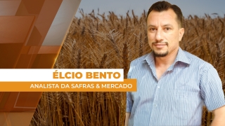 Élcio Bento - Analista da Safras & Mercado