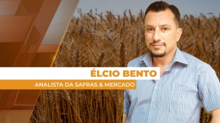 Élcio Bento - Analista da Safras & Mercado