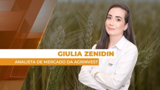 Giulia Zenidin - Analista de Mercado da Agrinvest