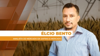 Élcio Bento - Analista da Safras & Mercado