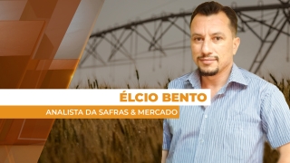 Élcio Bento - Analista da Safras & Mercado