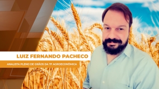 Luiz Fernando Pacheco - Analista Pleno de Grãos da TF Agroeconômica