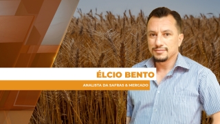 Élcio Bento - Analista da Safras & Mercado