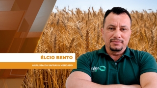 Élcio Bento - Analista da Safras & Mercado