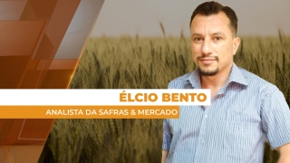 Élcio Bento - Analista da Safras & Mercado