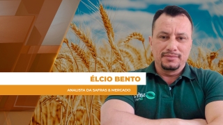 Élcio Bento - Analista da Safras & Mercado
