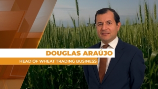 Douglas Araújo - Head of Wheat Trading Business