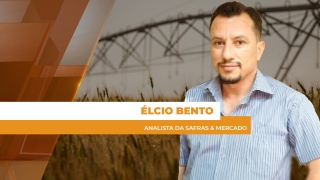 Élcio Bento - Analista da Safras & Mercado