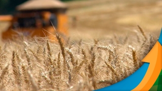 Carlos Hugo Godinho - Engenheiro Agrônomo do Deral
