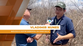Vladimir Nunes