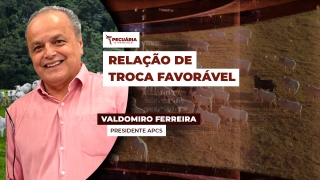 Valdomiro Ferreira - Presidente APCS
