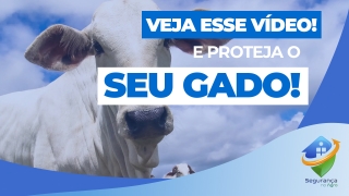 Carlos Zumerle, Especialista em Segurança no Agro