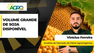Vinícius Ferreira - Analista de Mercado da Pátria Agronegócios