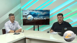 Vinicius Marchese - Presidente Licenciado do Crea-SP