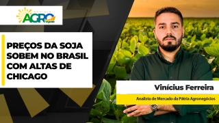 Vinícius Ferreira - Analista de Mercado da Pátria Agronegócios