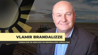 Vlamir Brandalizze - Consultor de Mercado da Brandalizze Consulting