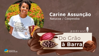 Do Grão à Barra