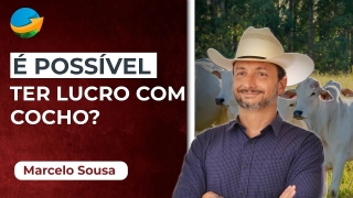 Podcast do NA - com Aleksander Horta