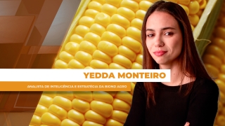 Yedda Monteiro - Analista de Inteligência e Estratégia da Biond Agro