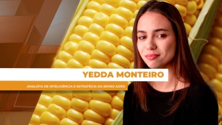 Yedda Monteiro - Analista de Inteligência e Estratégia da Biond Agro