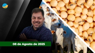 Fechamento de Mercado - Programa Completo