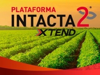 plataforma intacta 2 xtend