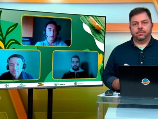 Abertura Bayer operação milho verao