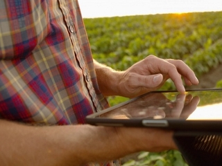 Conectividade no campo