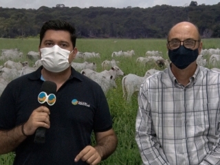 Guilherme Dorigatti e Francisco de Sales Manzi