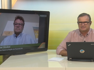 Daniel Strobel e Fred