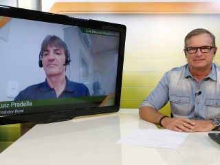 Fred e Luiz Pradella