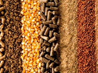 insumos, fertilizantes