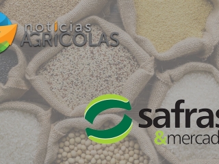 NA e safras e mercado