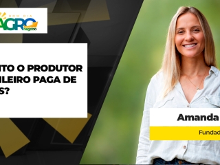 AMANDA  COURA.jpg