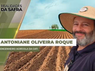 Antoniane Arantes de Oliveira Roque