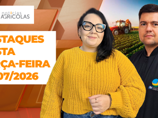 BOA TARDE AGRONEGÓCIO