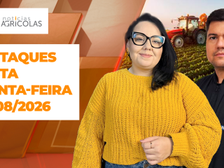 BOA TARDE AGRONEGÓCIO