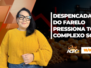 BOA TARDE AGRONEGÓCIO